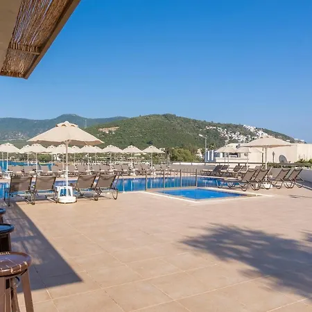 Hotel Trendlife Torba