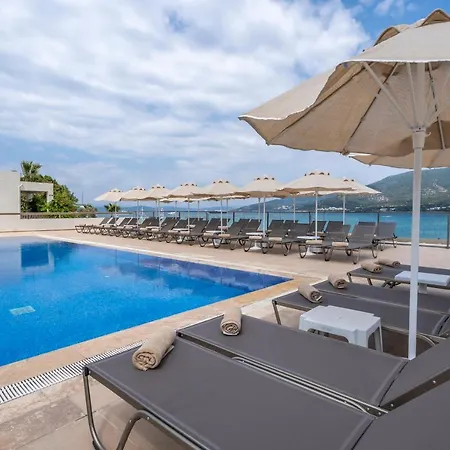 Hotel Trendlife Torba *