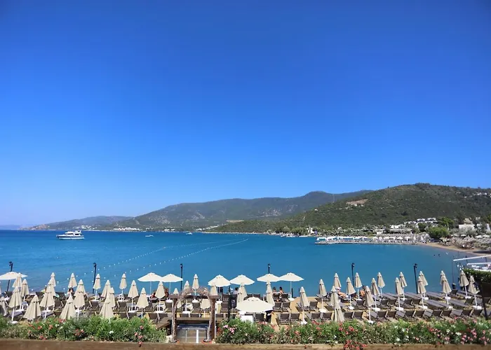 호텔 Trendlife Torba *