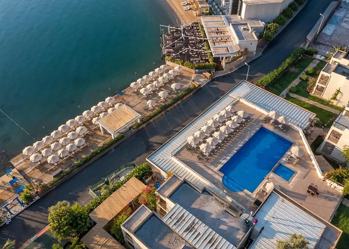 호텔 Trendlife Torba *