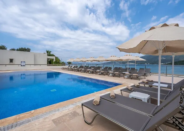 Trendlife Torba 호텔 *