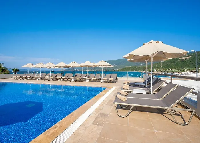 호텔 Trendlife Torba