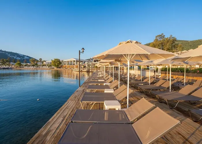 호텔 Trendlife Torba *