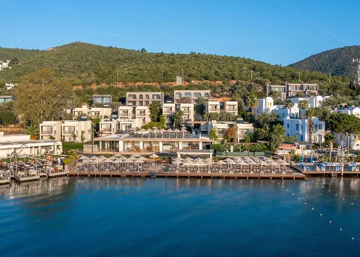 Trendlife Torba 호텔