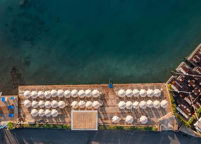 호텔 Trendlife Torba