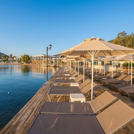 Hotel Trendlife Torba *