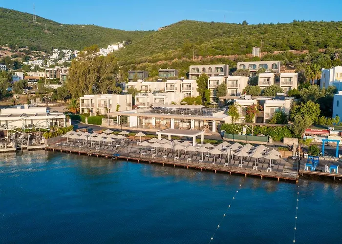 Hotel Trendlife Torba *