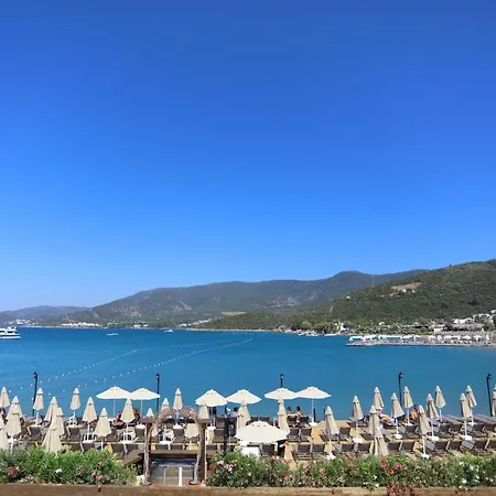 Hotel Trendlife Torba *