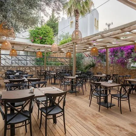 Trendlife Torba 호텔 *