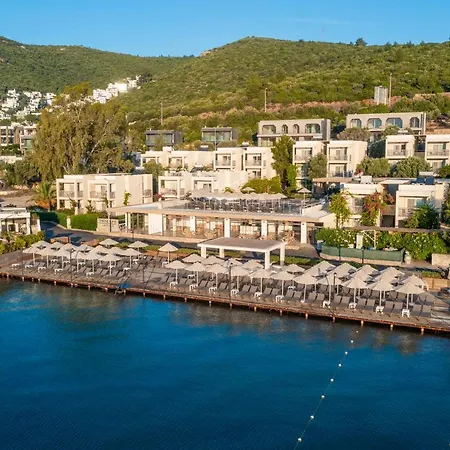 Ξενοδοχείο Trendlife Torba *