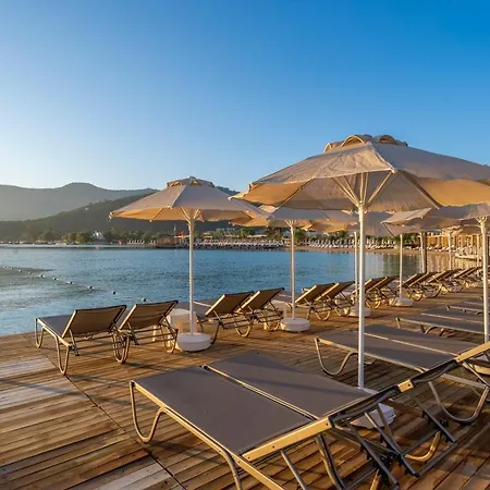 호텔 Trendlife Torba *