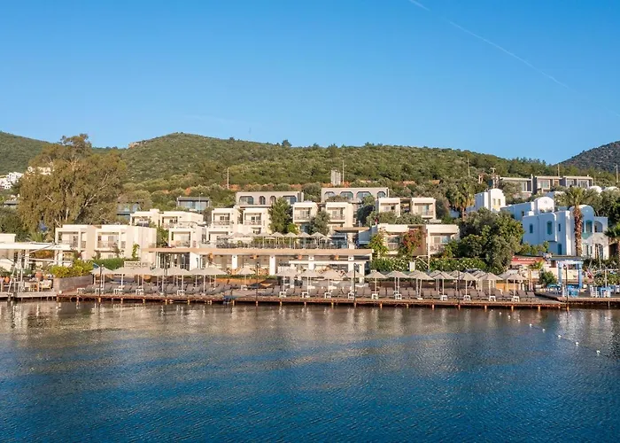 Trendlife Torba Ξενοδοχείο