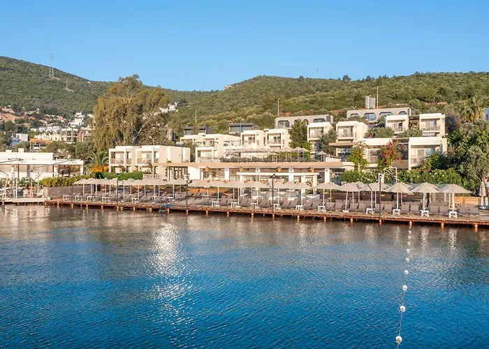 Ξενοδοχείο Trendlife Torba