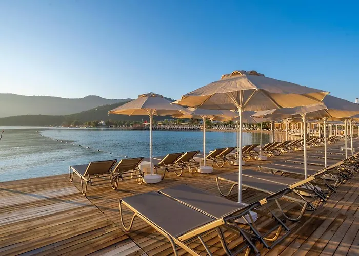 Ξενοδοχείο Trendlife Torba *